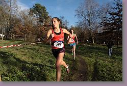 Begles 15.12.13 01 816 * 679 x 453 * (175KB)